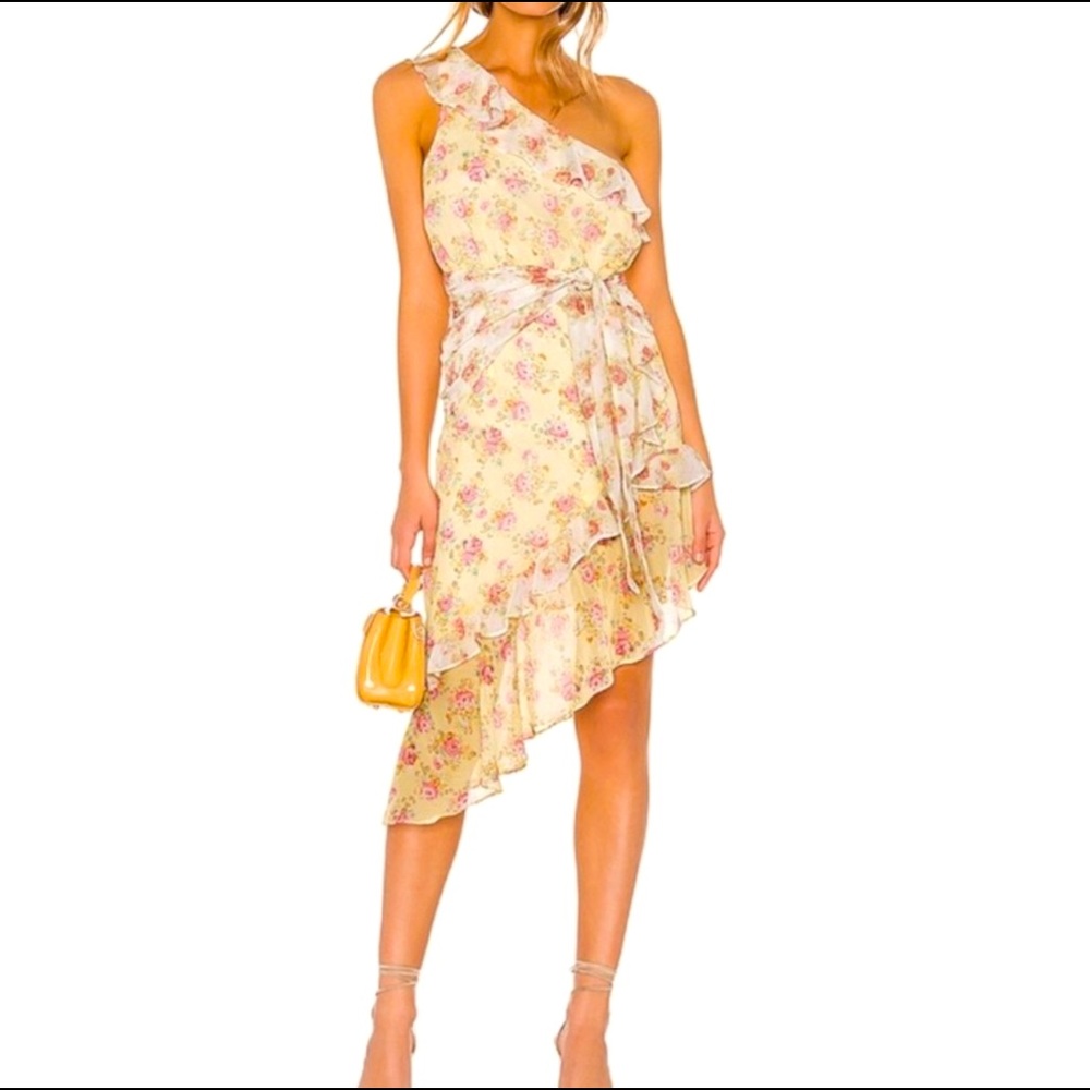 Majorelle floral ruffle dress! NWOT!😍